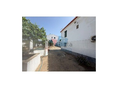 Beja