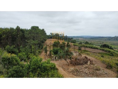 Herdade à venda em Vau