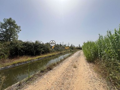 Idanha-a-Nova, Castelo Branco