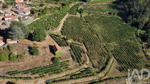 Quinta à venda em Figueiró