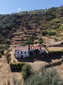 Quinta à venda em Quinta da Carroça s/n
