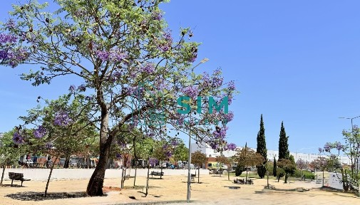 Évora