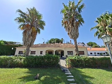 Quinta à venda na Estrada Nacional 4, Quinta do Moinho, Montemor-o-Novo