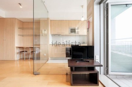 Arrendamento de apartamento T0 na Rua dos Campeões Europeus