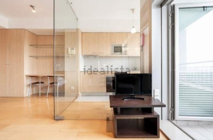 Arrendamento de apartamento T0 na Rua dos Campeões Europeus