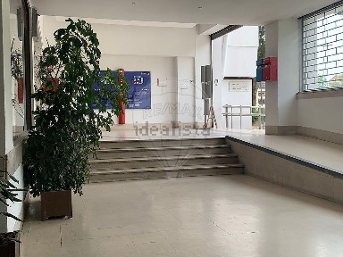 Arrendamento de espaço comercial na Rua das Pedralvas