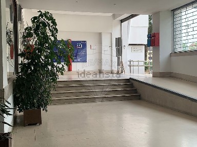 Arrendamento de espaço comercial na Rua das Pedralvas