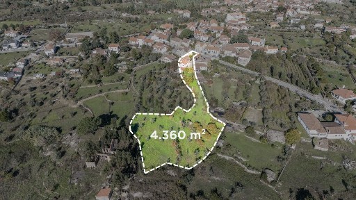 Travanca de Lagos, Avenida Principal