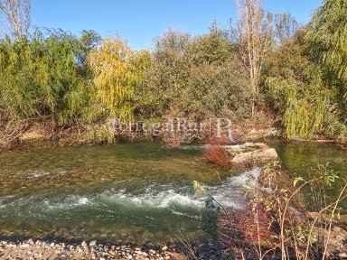 Quinta à venda em Belmonte
