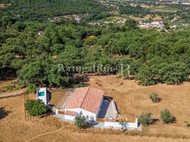 Quinta à venda em Ribeira de Nisa e Carreiras