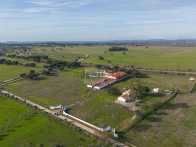 Viana do Alentejo, Évora