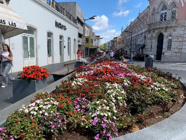Sintra, Centro de Sintra - Portela de Sintra, Largo Afonso de Albuquerque, 11