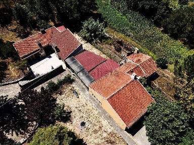 Cadima, Rua Professor Aloísio M. Andrade