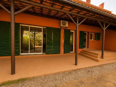 Arrendamento de apartamento T3 na Rua dos Pinheiros