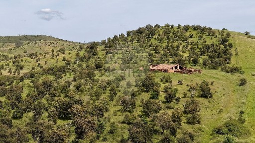Odemira, Beja
