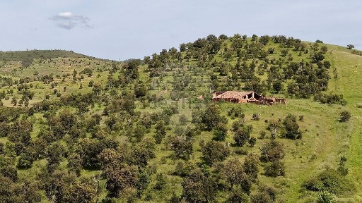 Quinta à venda em Sabóia
