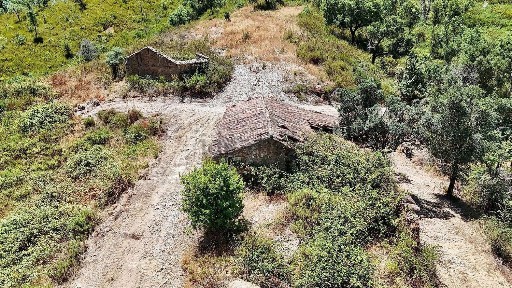 Quinta à venda em Sabóia
