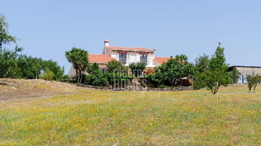 Ourique, Beja