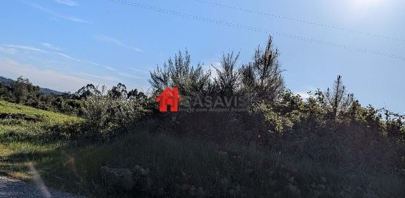 Arrendamento de quinta em Moreira