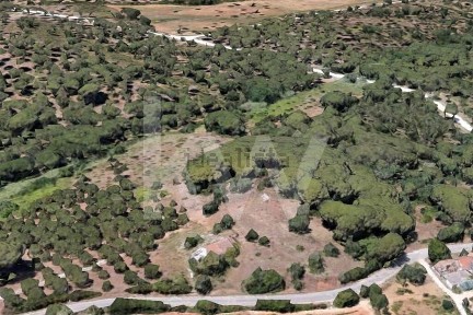 Quinta à venda no N379-1