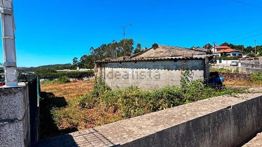 Cabeçudos, Rua de Santa Catarina