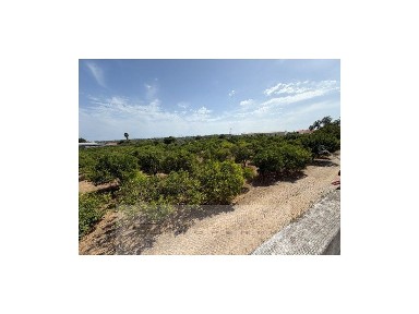 Olhão, Faro