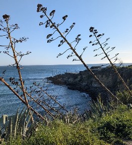 Moradia independente à venda em São Pedro do Estoril s/n