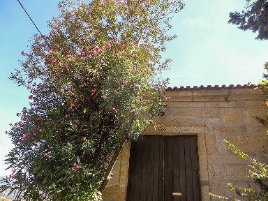 Penafiel, Porto