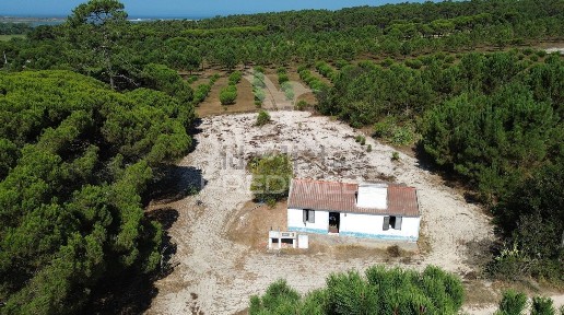 Casa ou moradia à venda em Santo André (Santiago do Cacém)