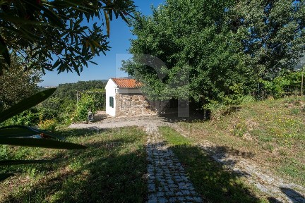 Covilhã e Canhoso, Rua das Amoreiras, 15