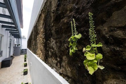Apartamento T0 à venda na Calçada da Quintinha