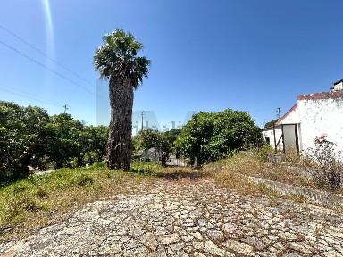 Quinta à venda em Azambuja