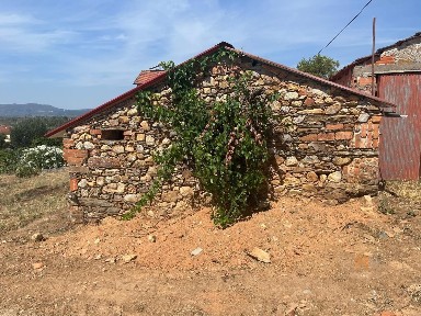 Quinta à venda em Sarzedas