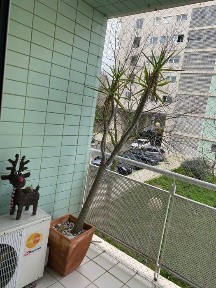 Apartamento T3 - Santa Clara /Lisboa