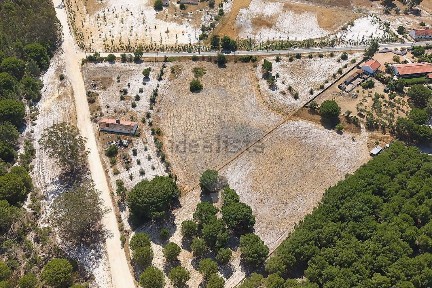 Grândola, Setúbal