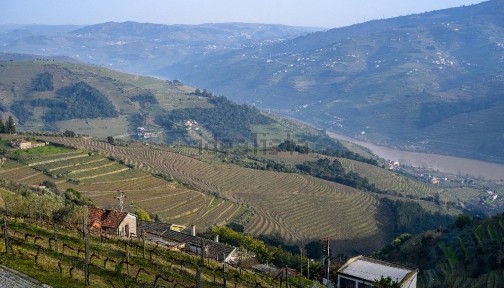 Quinta ou casa rústica à venda em Santa Cristina