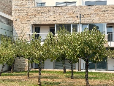 Oliveira do Douro