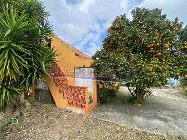 Salvaterra de Magos, Santarém