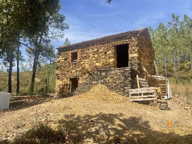 Quinta à venda em Sarzedas
