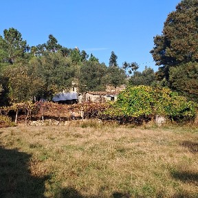 Casa de aldeia à venda em Sá