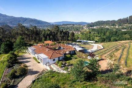 Vale, N319, 404