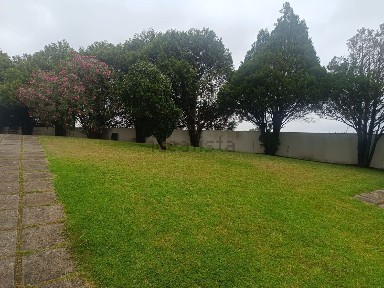 Arrendamento de apartamento T3 na Rua Conselheiro Costa Aroso