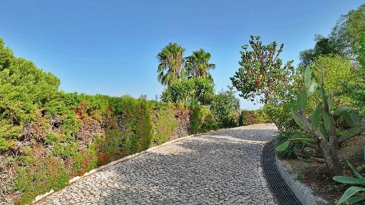 Ciborro, Azinhaga dos Foros Velhos, Ciborro.