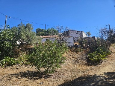 Tavira