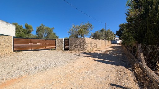 Luz de Tavira, Arroteia