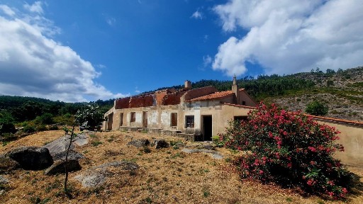 Monchique, Picota