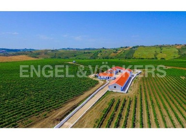 Quinta à venda em Castanheira do Ribatejo e Cachoeiras