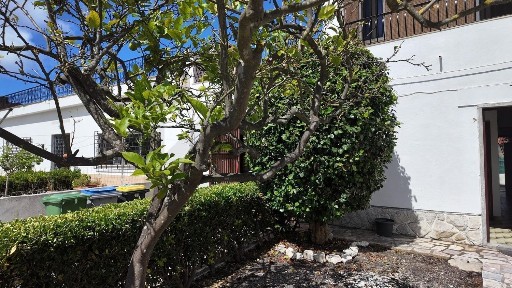 Arrendamento de casa ou moradia na Belverde