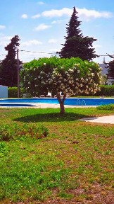 Arrenda-se T2 com piscina de 01 Outubro a 31 de Maaio 2027.