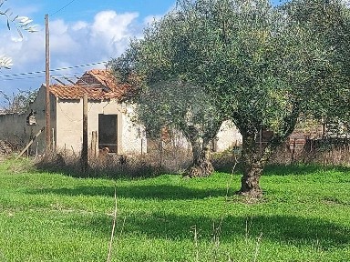 Grândola, Setúbal